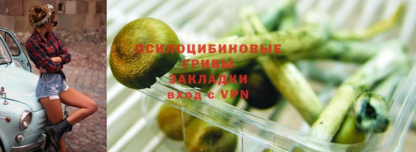 ALPHA PVP Беломорск