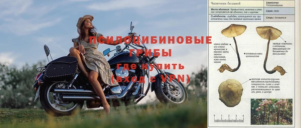ALPHA PVP Беломорск