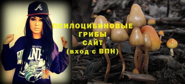 сатива Баксан