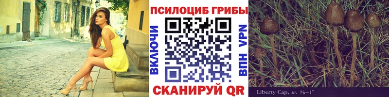 Галлюциногенные грибы Psilocybe  Киреевск 